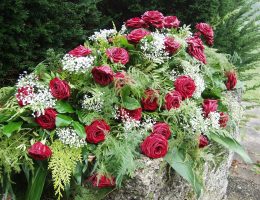 A Calming Voice, a Helping Hand: Love and Financial Advice for a Bereaved Senior. Courtesy of Pixabay.com.