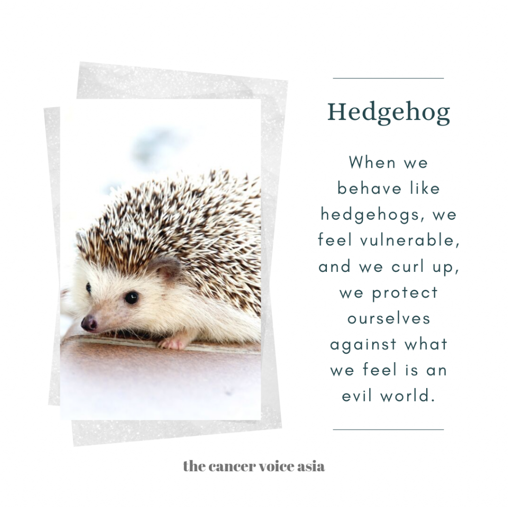 alt="hedgehogs"